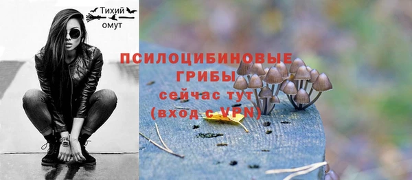марки lsd Абаза