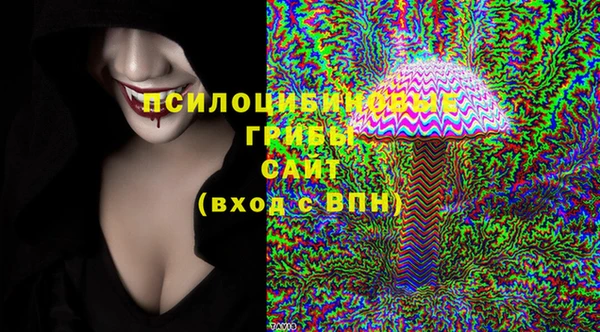 марки lsd Абаза