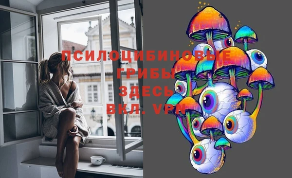 apvp Абинск