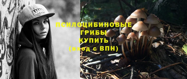 гидра Мегион