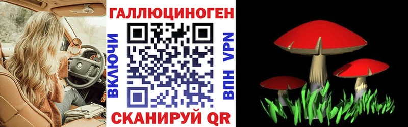 продажа наркотиков  Юрга  Псилоцибиновые грибы Cubensis 
